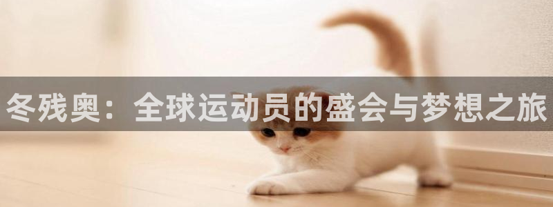 中欧体育集团：冬残奥：全球运动员的盛会与梦想之旅