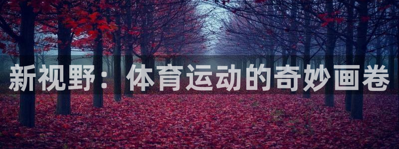 中欧体育(zoty)官网：新视野：体育运动的奇妙画卷