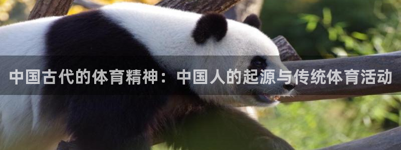 中欧体育官网：中国古代的体育精神：中国人的起源与传统体育活动