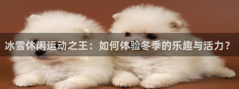 中欧体育kok：冰雪休闲运动之王：如何体验冬季的乐趣与活力？