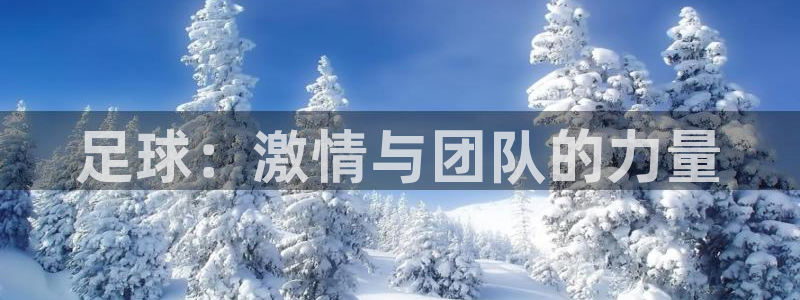 中欧体育网页版