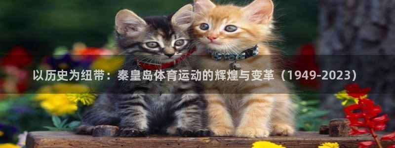 zoty中欧体育：以历史为纽带：秦皇岛体育运动的辉煌与变革（1949-2023）