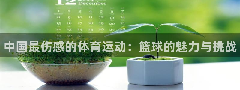 中欧体育官网：中国最伤感的体育运动：篮球的魅力与挑战