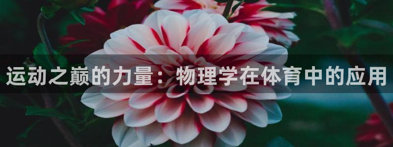 中欧体育网址：运动之巅的力量：物理学在体育中的应用