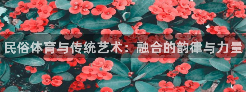 中欧体育官网入口：民俗体育与传统艺术：融合的韵律与力量