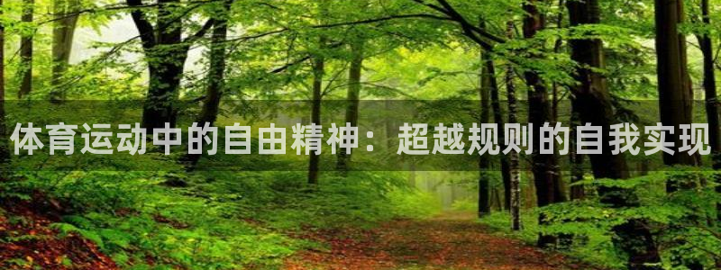 中欧体育全站app：体育运动中的自由精神：超越规则的自我实现