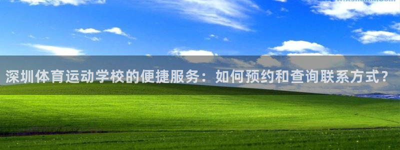 中欧体育网站：深圳体育运动学校的便捷服务：如何预约和查询联系方式？