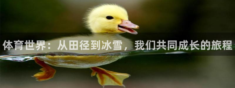 中欧体育网页版：体育世界：从田径到冰雪，我们共同成长的旅程