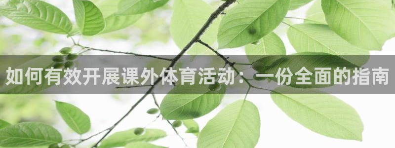 中欧体育全站app：如何有效开展课外体育活动：一份全面的指南