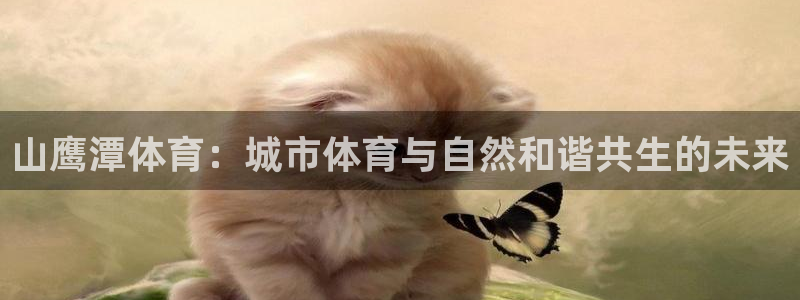 中欧体育网址：山鹰潭体育：城市体育与自然和谐共生的未来