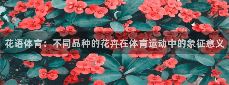 中欧体育李勇鸿：花语体育：不同品种的花卉在体育运动中的象征意义