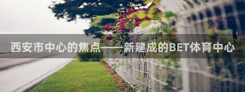中欧体育在线：西安市中心的焦点——新建成的BET体育中心