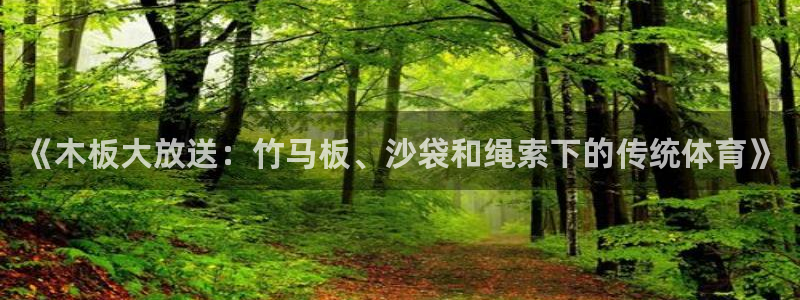 中欧体育在线：《木板大放送：竹马板、沙袋和绳索下的传统体育》