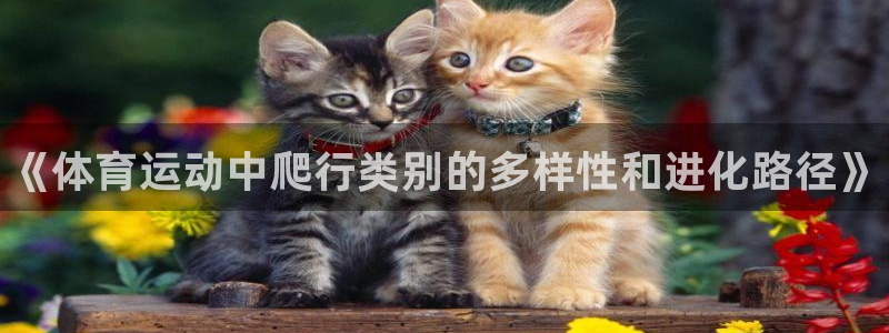 kok中欧体育登录