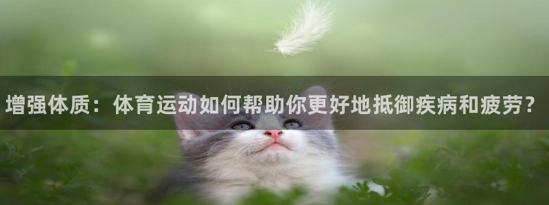 zoty中欧体育网址多少
