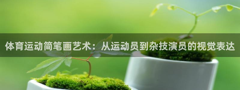 zoty中欧体育：体育运动简笔画艺术：从运动员到杂技演员的视觉表达