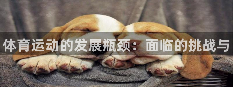 中欧体育ios：体育运动的发展瓶颈：面临的挑战与