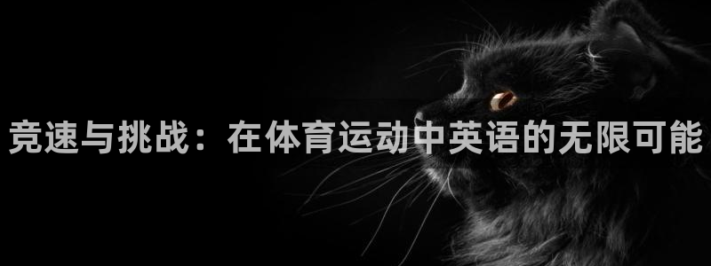 kok新版中欧体育：竞速与挑战：在体育运动中英语的无限可能